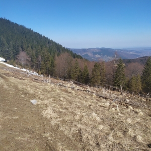 весна на пол Явірник