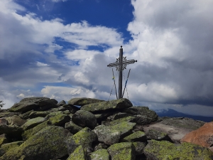 Явірник-Горган