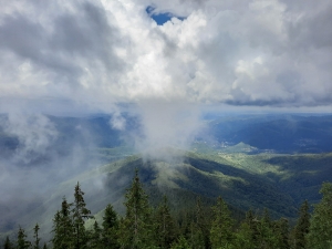 Вид з Явірника-горган