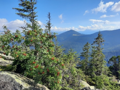 Вид на гору Хом\'як