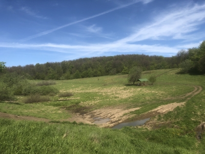 Кратер вулкана