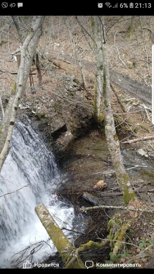 Так виглядав весною 2022 року після вирубки