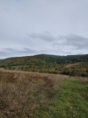 Вид на гору Ділок