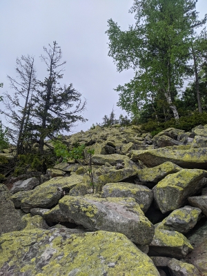 Це таке торчилово по маршруту що тут а жовтий не такий крутий (кут)