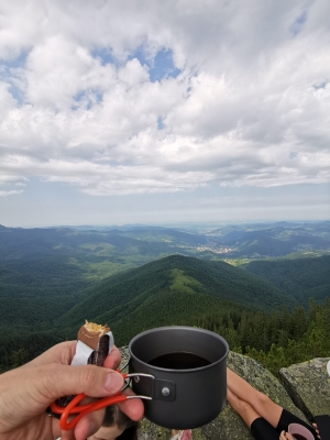 Вид з вершини Явірник-Горган