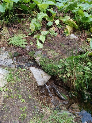 Нище нього 200 метрів, біля місця для стоянки є вода