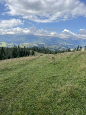 Вид на Боржавський хребет