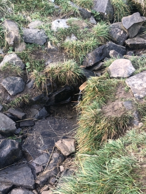 10.09.2023 джерело НЕ пересохше.