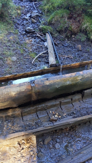 не сказати, що слабке