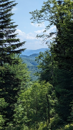 Вид з вершини гори Ключ