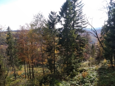 вид з вершини Ключ