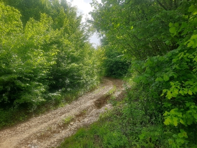 Дорогою на вершину