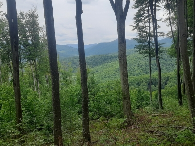 Ось такі краєвиди