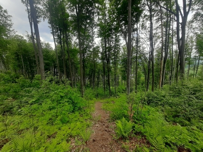 Є досить круті нахили