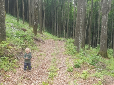 Загалом маршрут з центра Поляни до самої верхівки становить 2 км, можна ходити з дітьми. Починається від Цнапу, мимо готелю Катерина, потім вздовж лижного підйомника й далі по дорозі, до самої верхівки треба вже буде йти лісом