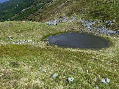Потенційне місце під намет. Сильний вітер