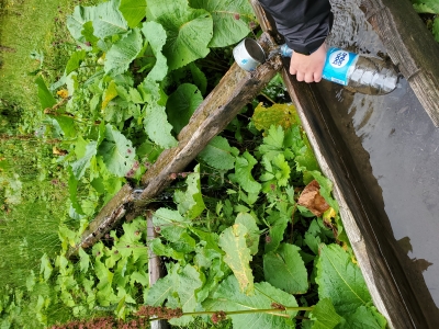 19 липня 2025, джерело добре, має легку віддушку, пили без фільтрації, живі