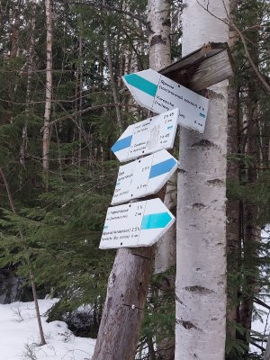 Вказівники