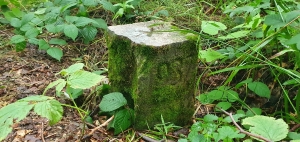 Стовб на вершині