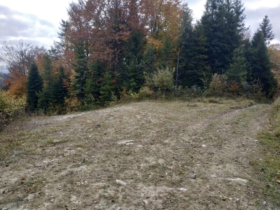 Високий тин. На ліво вододіл. На право - на Рабочин, Поляну, Скотарське
