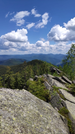 На горі Явірник-Горган