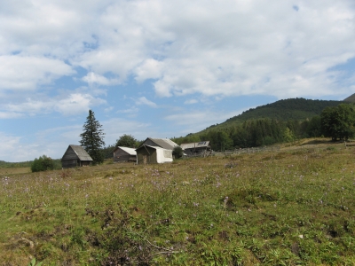 На полонині розташована конеферма.