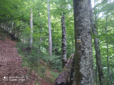 пологіший підйом до Ялинського водоспаду