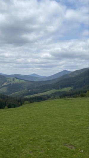 Полонина Віпче 
А далі від неї на гору Біла Кобила дуже крутий підйом 
Стежка на кінці паркану, спочатку не помітили 
Спуск дорогою де багато каміння 
Тому треба обережно