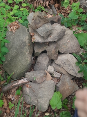 Вершина гори. Вона вся у деревах, тому краєвидів немає