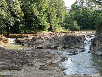 Малий Гук Шешорський