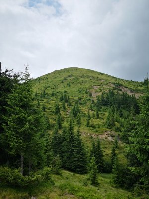 Берлибашка