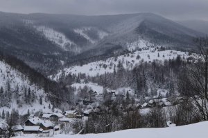 Сукіль зимою