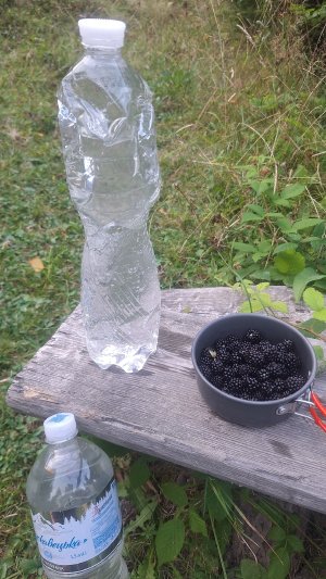 Вода доволі чиста, мулякі нема, поруч ожина. Від шлагбаума ліворуч і побачите скамейку