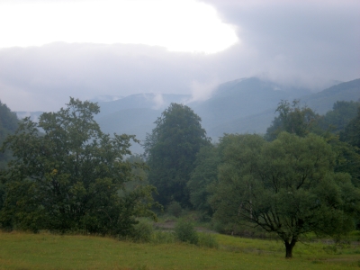 Перед грозою