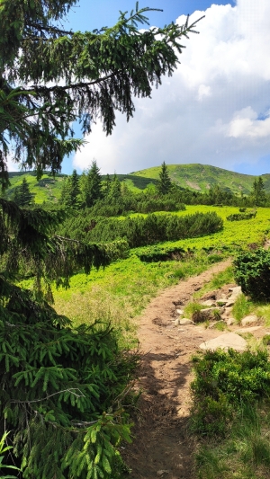 Краєвид з маршруту.