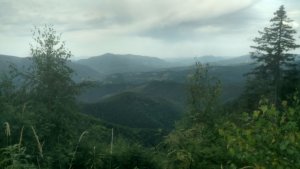 Недивлячись на висоту, краєвидів мало. Багато дерев і кущів, де лише маленьке віконце було з видом в сторону с. Синєвир. Підйом із західної сторони дуууже крутий, багато каміня і мху. Важко, але цікаво підійматися. Місцева фауна теж цікава, але були підозри на присутність якихось гадюк. 

Як цільова вершина мандрівки - таке собі, тільки якщо далі по хребту на схід піти.
(Був тут літом 2023)