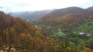 Виженка панорама