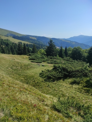 Гарне місце для намету, але на сонці