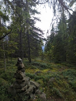 Вершина