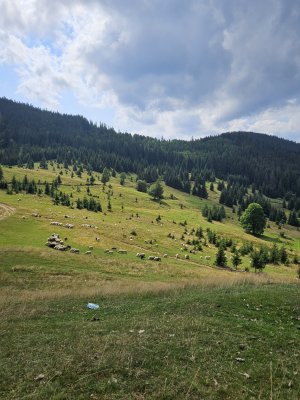 Немає поруч води