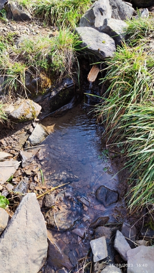 25.08.2023 потічок трохи вище місця для палаток 