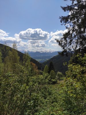 Чорногора
