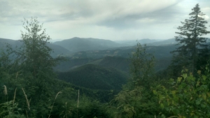 Недивлячись на висоту, краєвидів мало. Багато дерев і кущів, де лише маленьке віконце було з видом в сторону с. Синєвир. Підйом із західної сторони дуууже крутий, багато каміня і мху. Важко, але цікаво підійматися. Місцева фауна теж цікава, але були підозри на присутність якихось гадюк. 

Як цільова вершина мандрівки - таке собі, тільки якщо далі по хребту на схід піти.
(Був тут літом 2023)