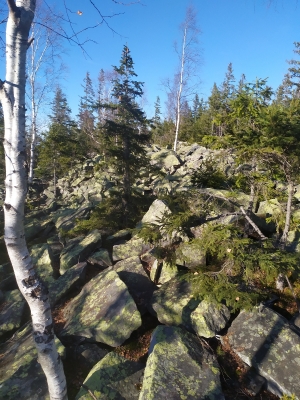 Вершина гори вкрита рідким лісом.
але навколишні гори видно досить добре