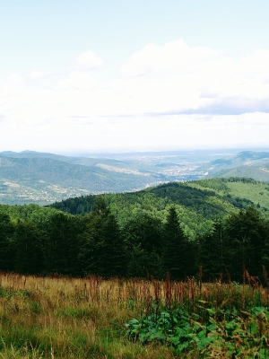 Неймовірна краса. 
Влітку невеличка отара пасеться і пастухи роблять овечий сир. Можна купити якщо до обіду прийти