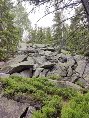 Підйом на вершину2