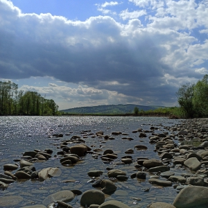 річка Стрий