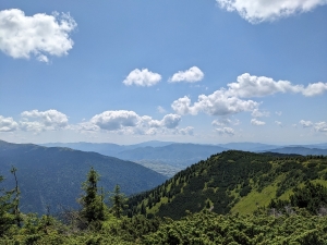 Вид з вершини гори Кам\'янка