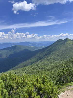 Вершина гори Микулєска.