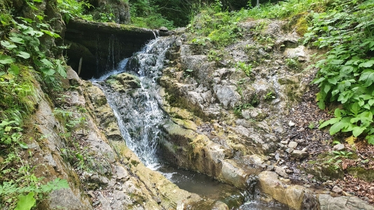 Двокаскадний водоспад (5 м) розташований на межі сіл Шешори та Прокурава. Легкодоступний, маловідомий.